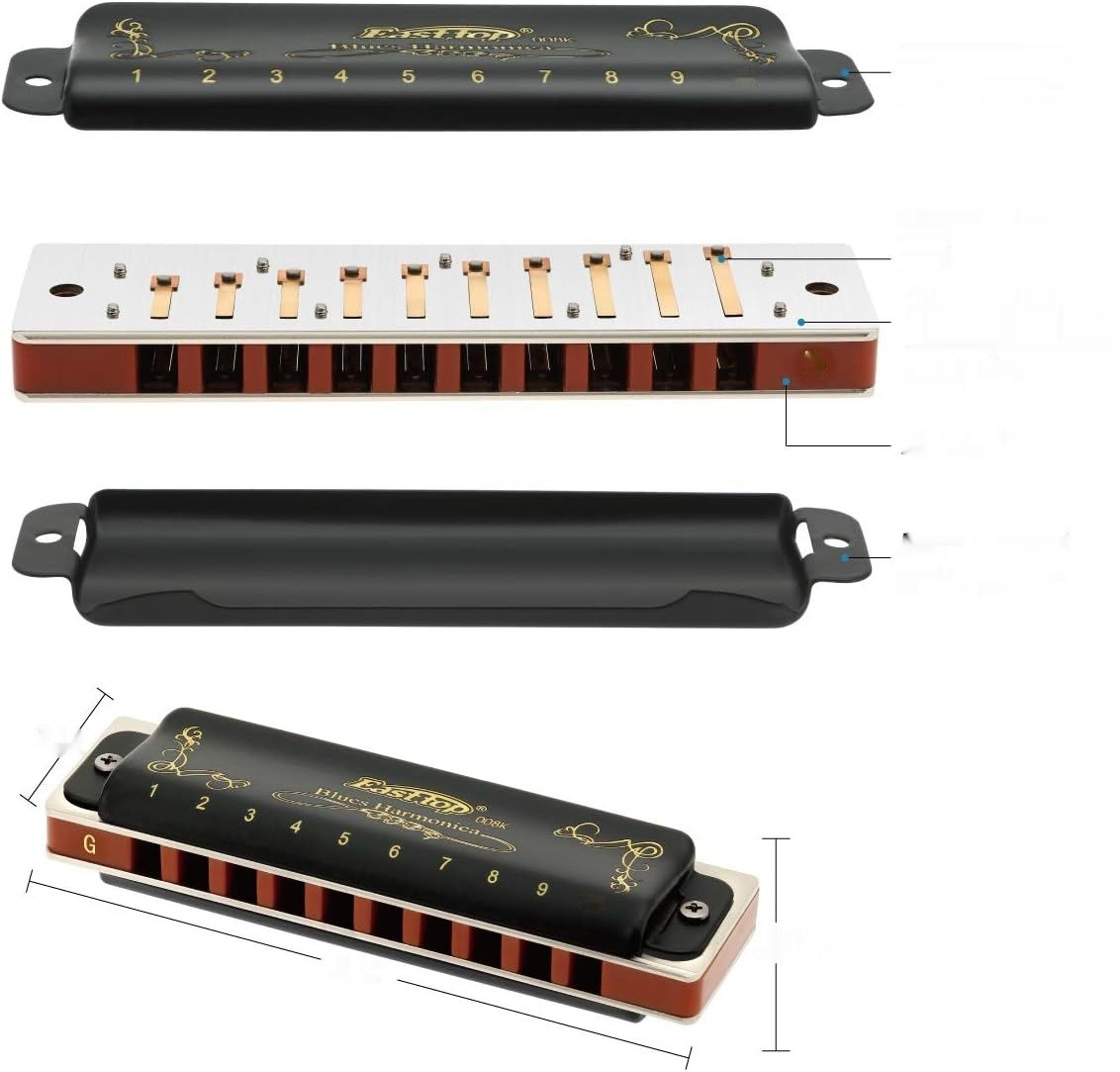 East Top Diatoniczna Harmonijka Bluesowa 10 Otworów 20 Tonów G-dur