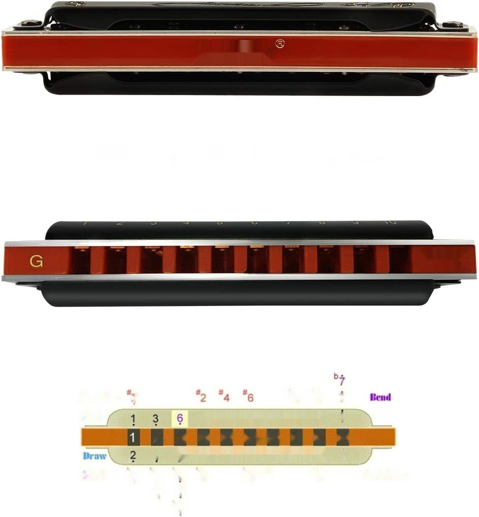 East Top Diatoniczna Harmonijka Bluesowa 10 Otworów 20 Tonów G-dur