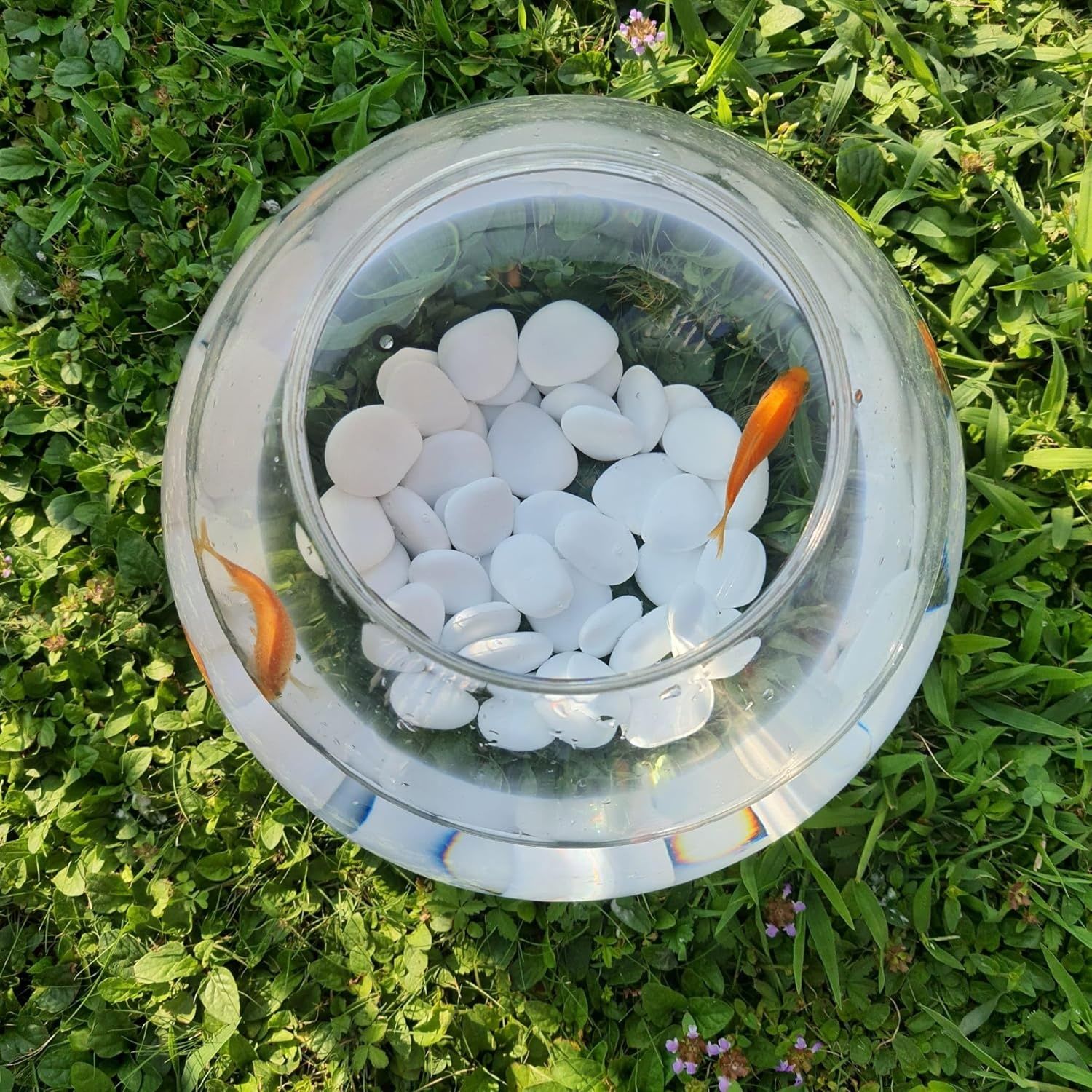 Kalapanta - Kamienie Dekoracyjne, Rozmiar S, Średnica 2-5 cm, Białe
