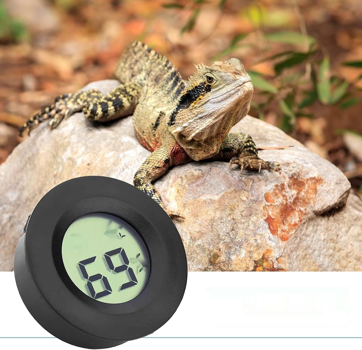 DIFCUL 3x Mini LCD Termometr do Humiadorów Inkubatorów (2 szt.) Czarny