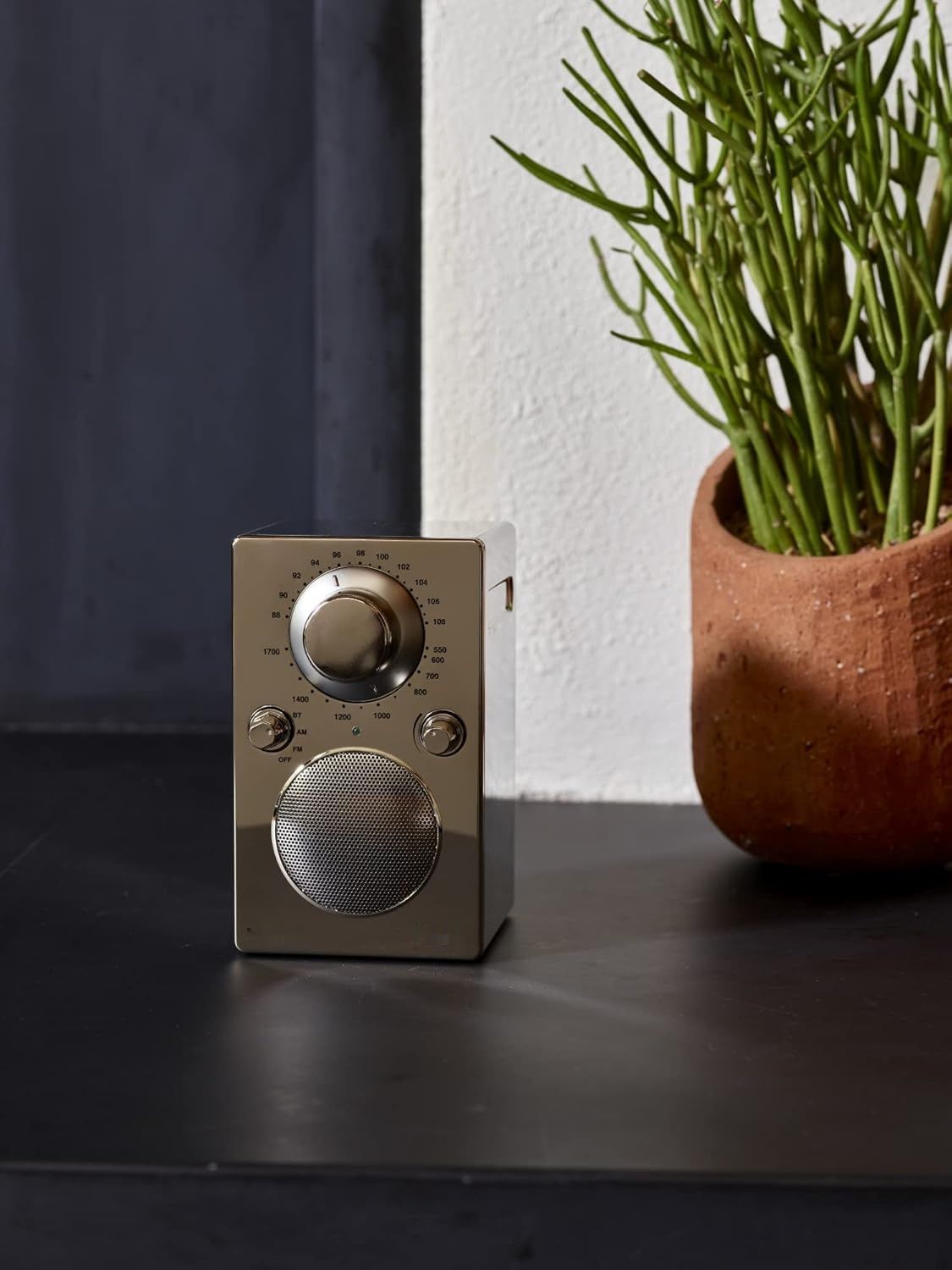 Tivoli Audio PAL BT przenośne radio FM / MW Bluetooth (chromowany)