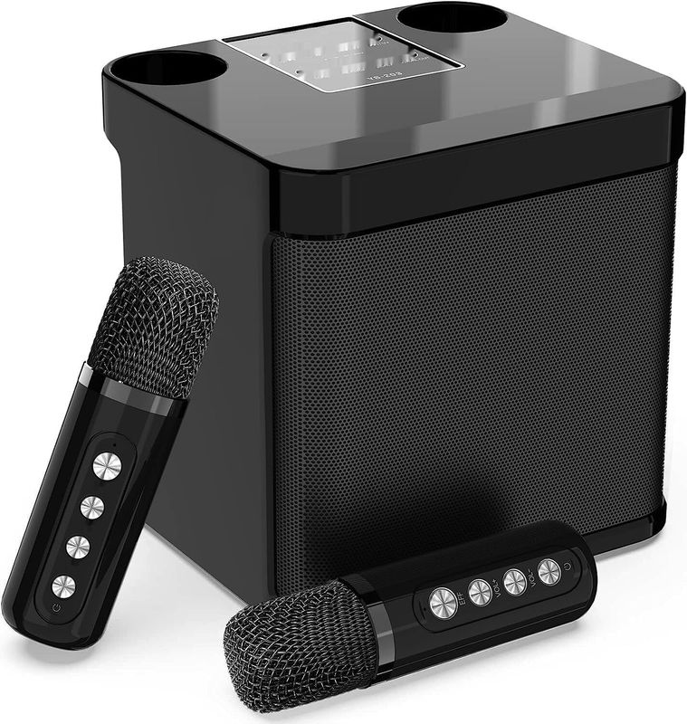 Karaoke Machine Głośnik z 2 mikrofonami, Bluetooth HD Sound PA System.