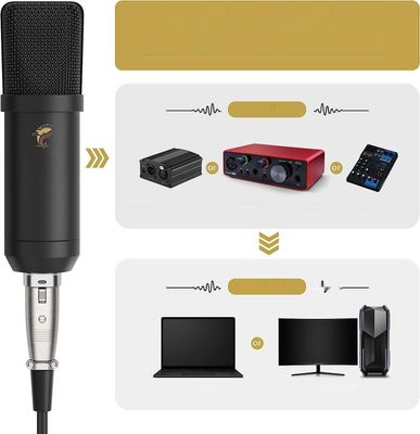 Mikrofon TONOR Kidney XLR z ramieniem T20, pająkiem, filtrem pop (TC20)