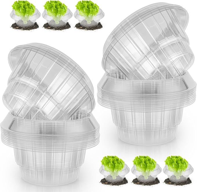 25 sztuk kołnierzy plastikowych przeciw ślimakom, do sałaty i kapusty