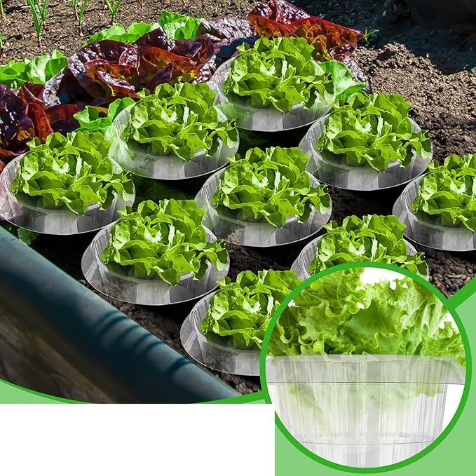 25 sztuk kołnierzy plastikowych przeciw ślimakom, do sałaty i kapusty