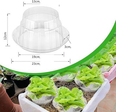 25 sztuk kołnierzy plastikowych przeciw ślimakom, do sałaty i kapusty