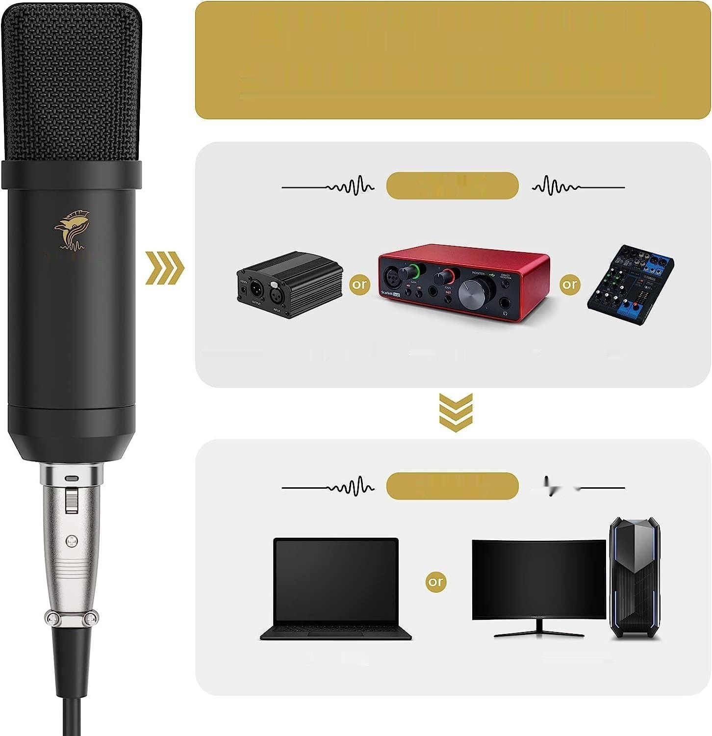 TONOR XLR Mikrofon Pojemnościowy Studio z Ramieniem T20 (TC20)