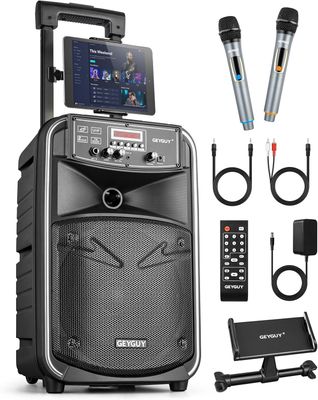 Głośnik Karaoke, Przenośny system nagłośnieniowy Bluetooth