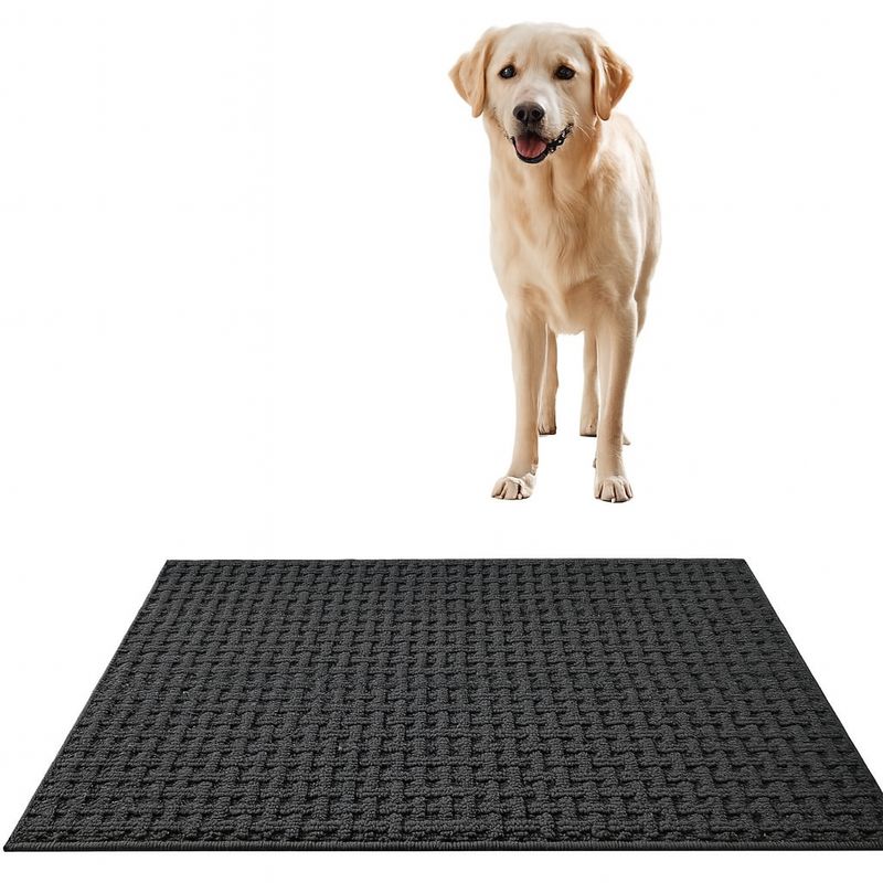 DEXI Wycieraczka Wewnętrzna 92 x 152 cm, Ciemnoszary