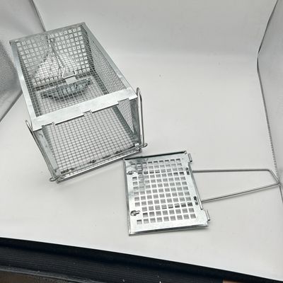 Humanitarna metalowa pułapka-klatka na szczury.
