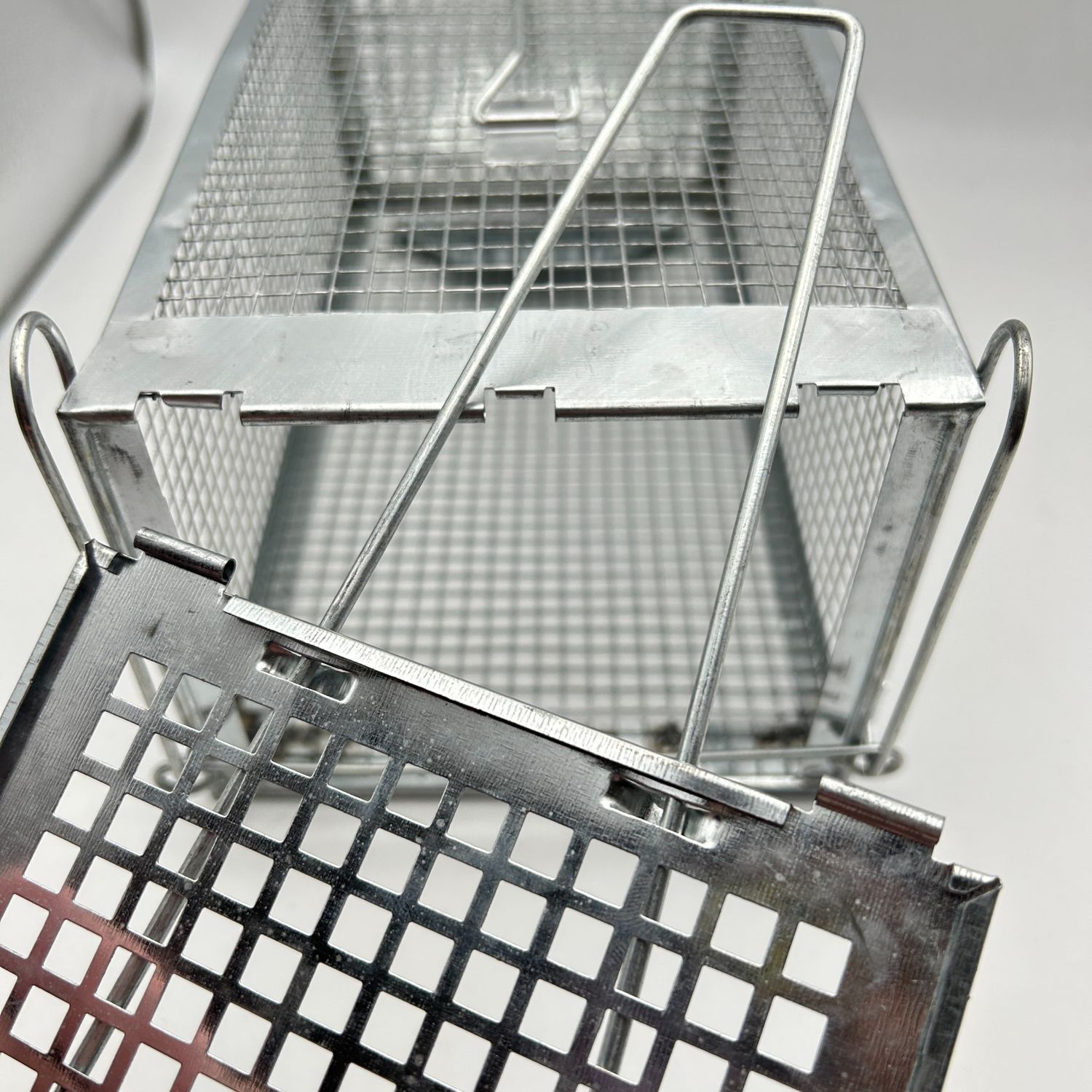 Humanitarna metalowa pułapka-klatka na szczury.