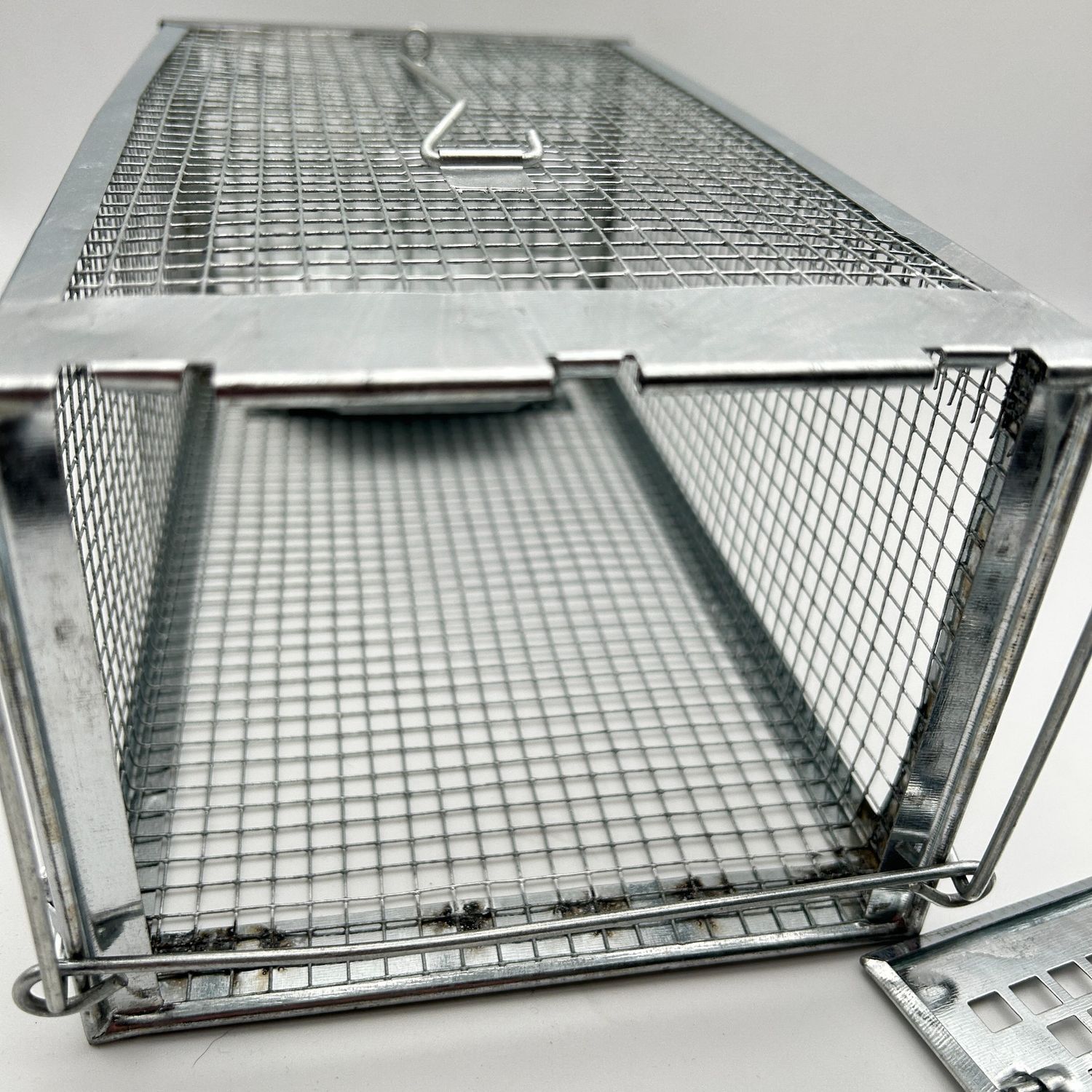 Humanitarna metalowa pułapka-klatka na szczury.