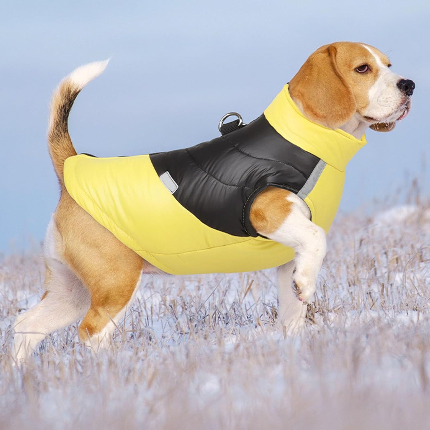 Ubranko dla Psa Ciepła, Zagęszczona Miękka Bawełna Rozmiar XL