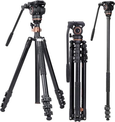 Cayer AF2451 67 calowy aluminiowy statyw z głowicą olejową i monopodem.