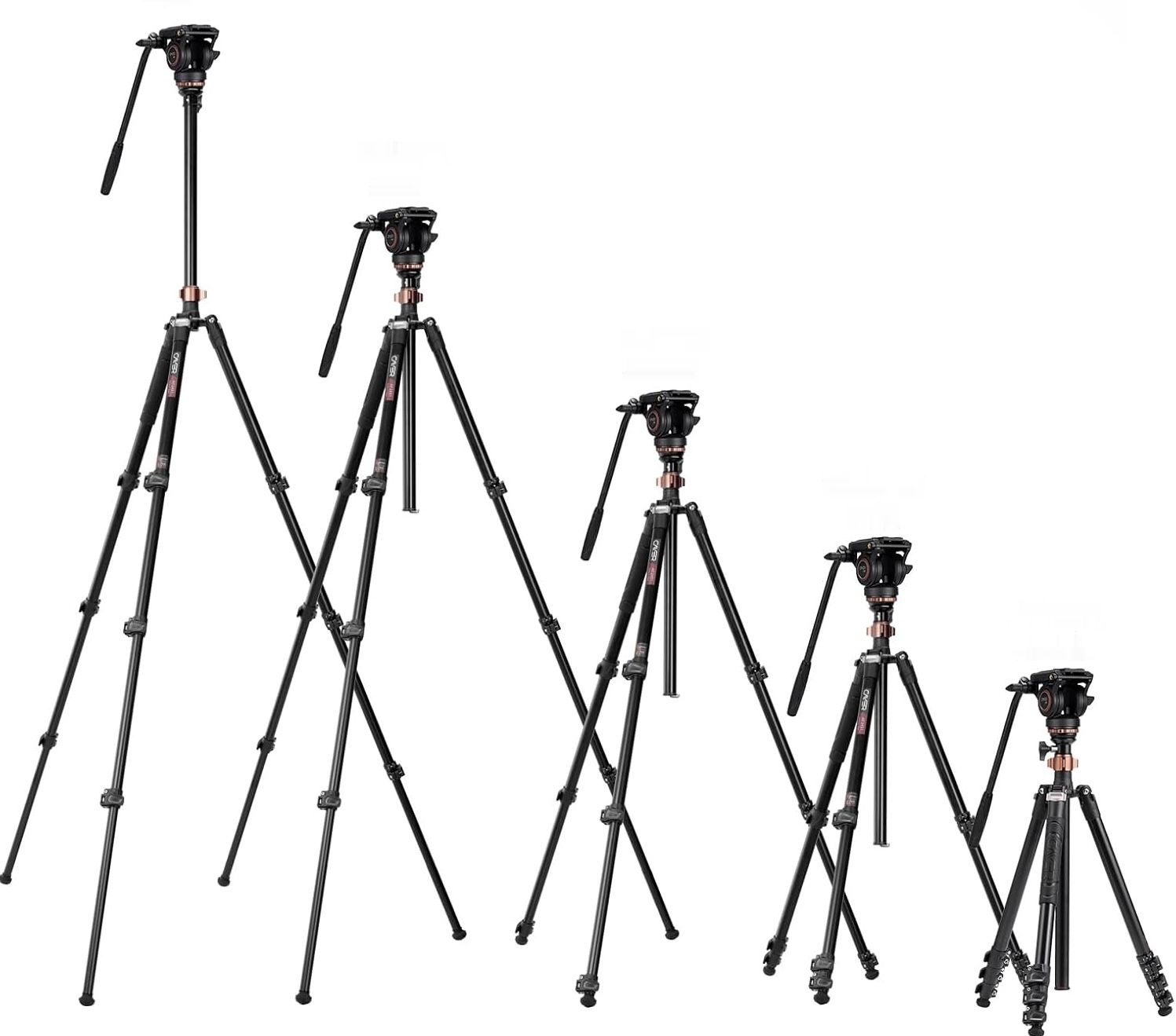 Cayer AF2451 67 calowy aluminiowy statyw z głowicą olejową i monopodem.