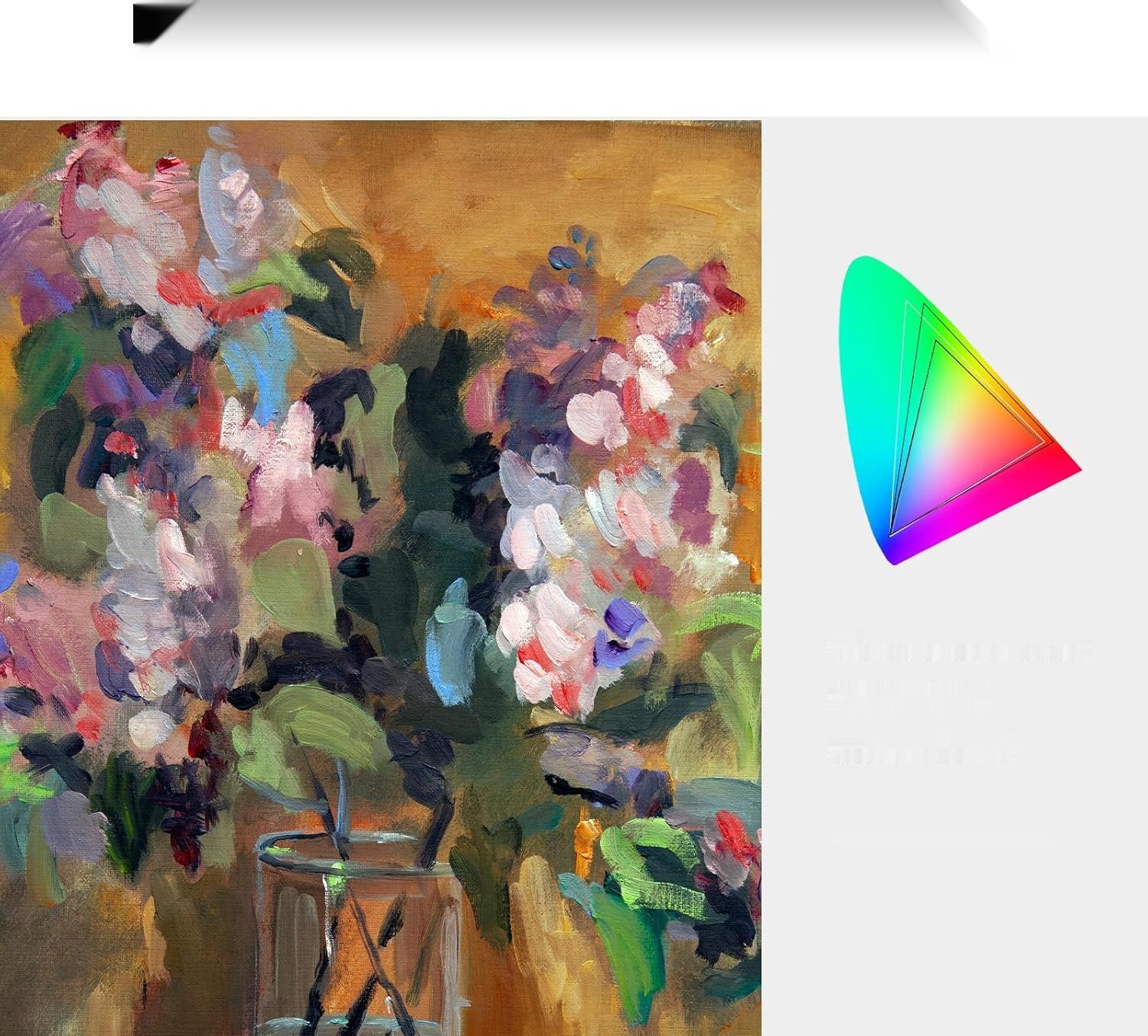 HUION Kamvas Pro 19 4K Tablet Graficzny z Wyświetlaczem
