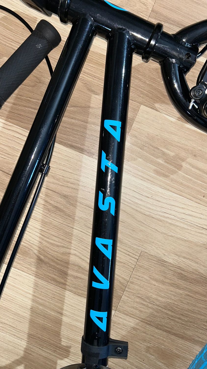 AVASTA Rubato 20K Pro Freestyle BMX dla dzieci i początkujących