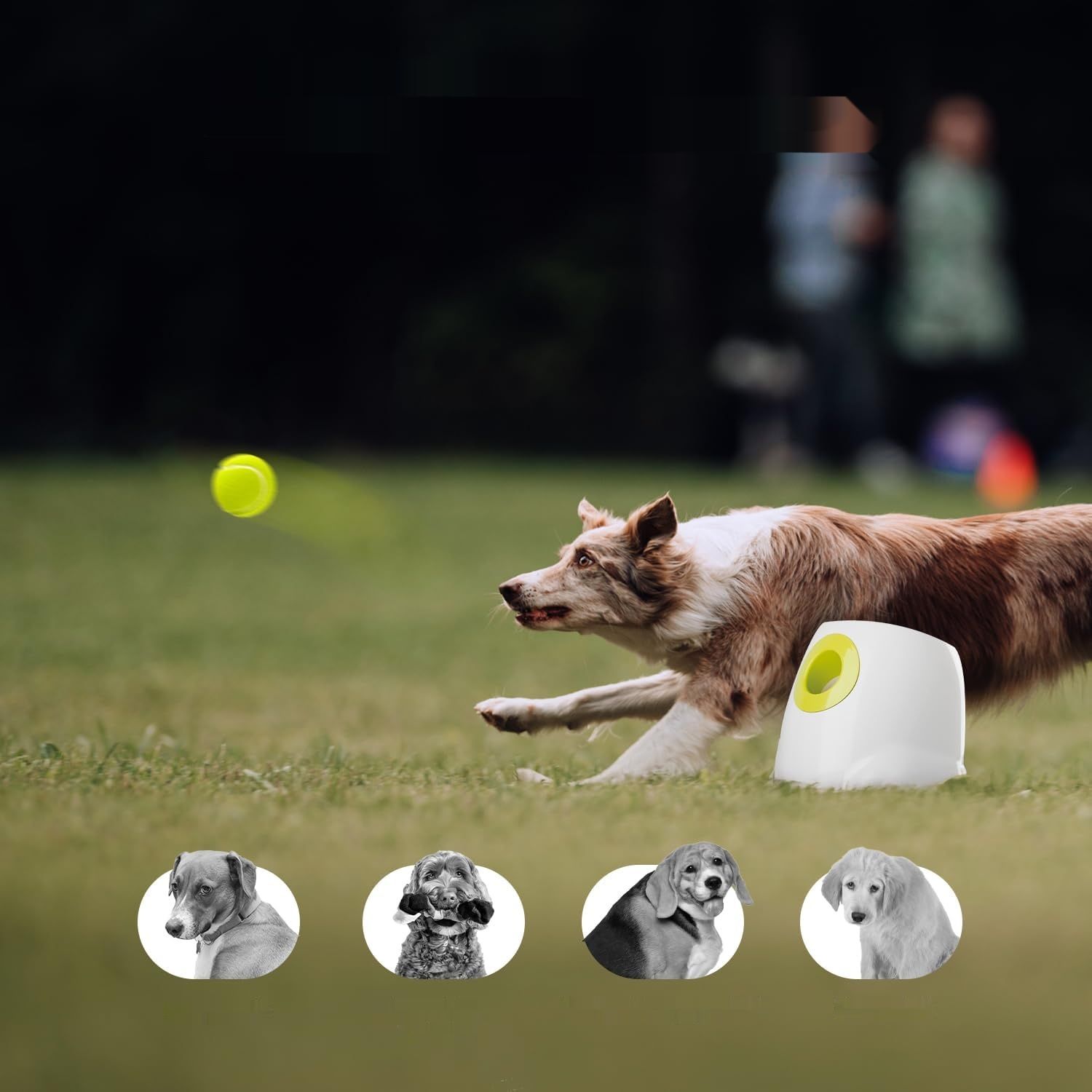 ALL FOR PAWS Ultimate zabawka  – interaktywna automatyczna