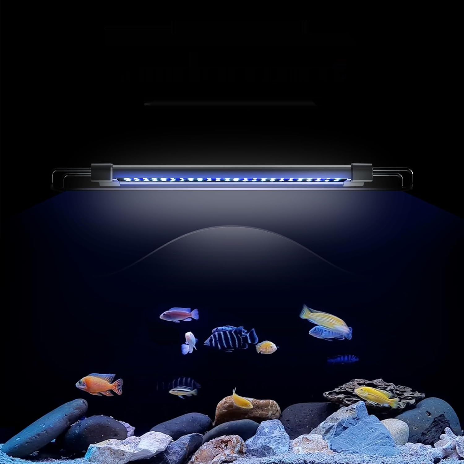 не могу включить.  NICREW ClassicLED G2 Lampa do akwarium, Lampa LED do akwarium z 3 dost