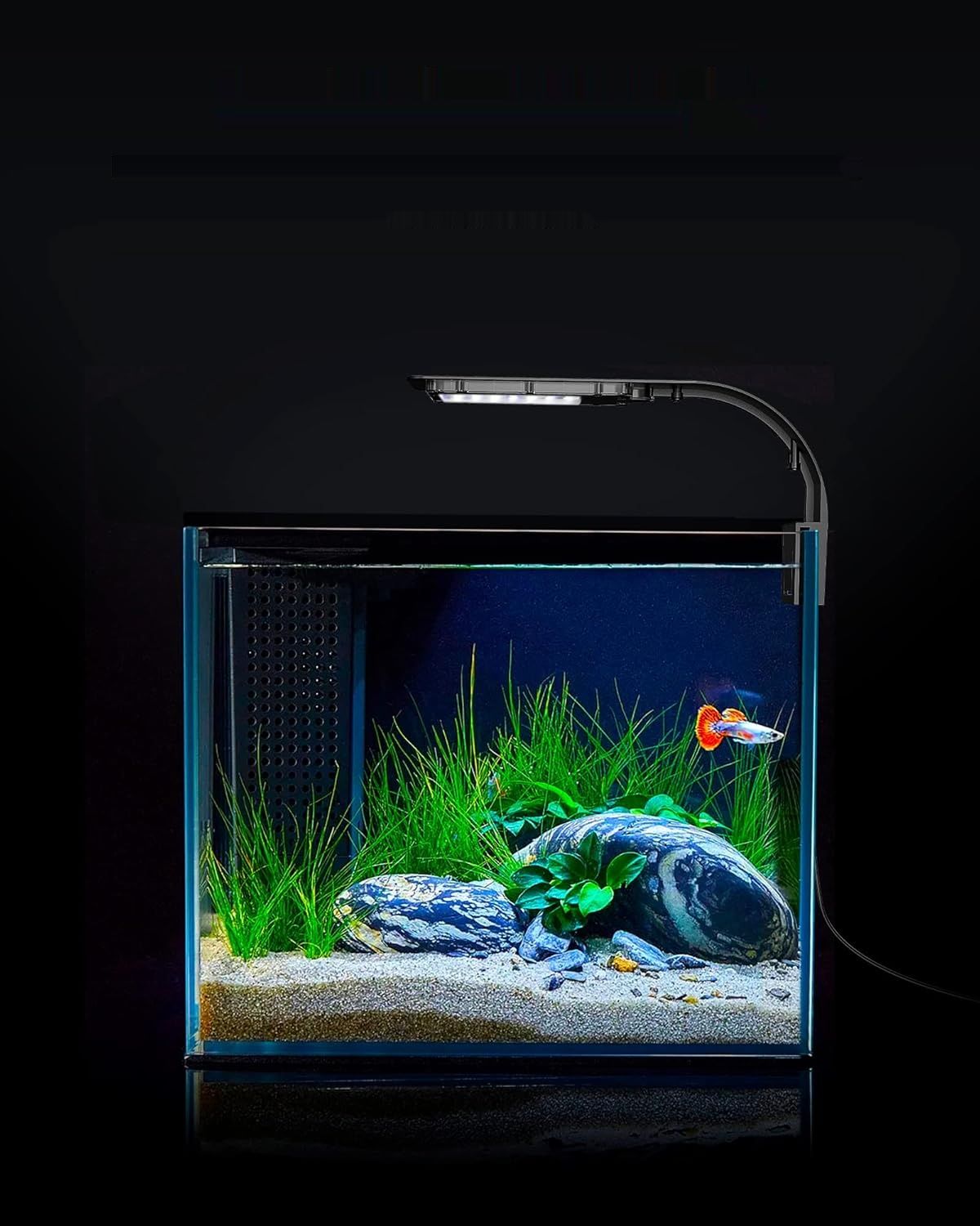 NICREW lampa zaciskowa do akwarium, ultracienka lampa akwariowa z biał