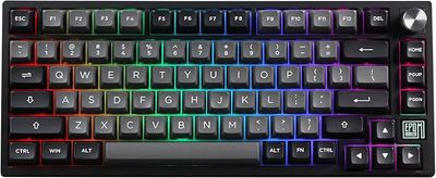 EPOMAKER TH80 SE Gasket 75% – mechaniczna klawiatura gamingowa RGB (Black Silver, Budgerigar Switch)