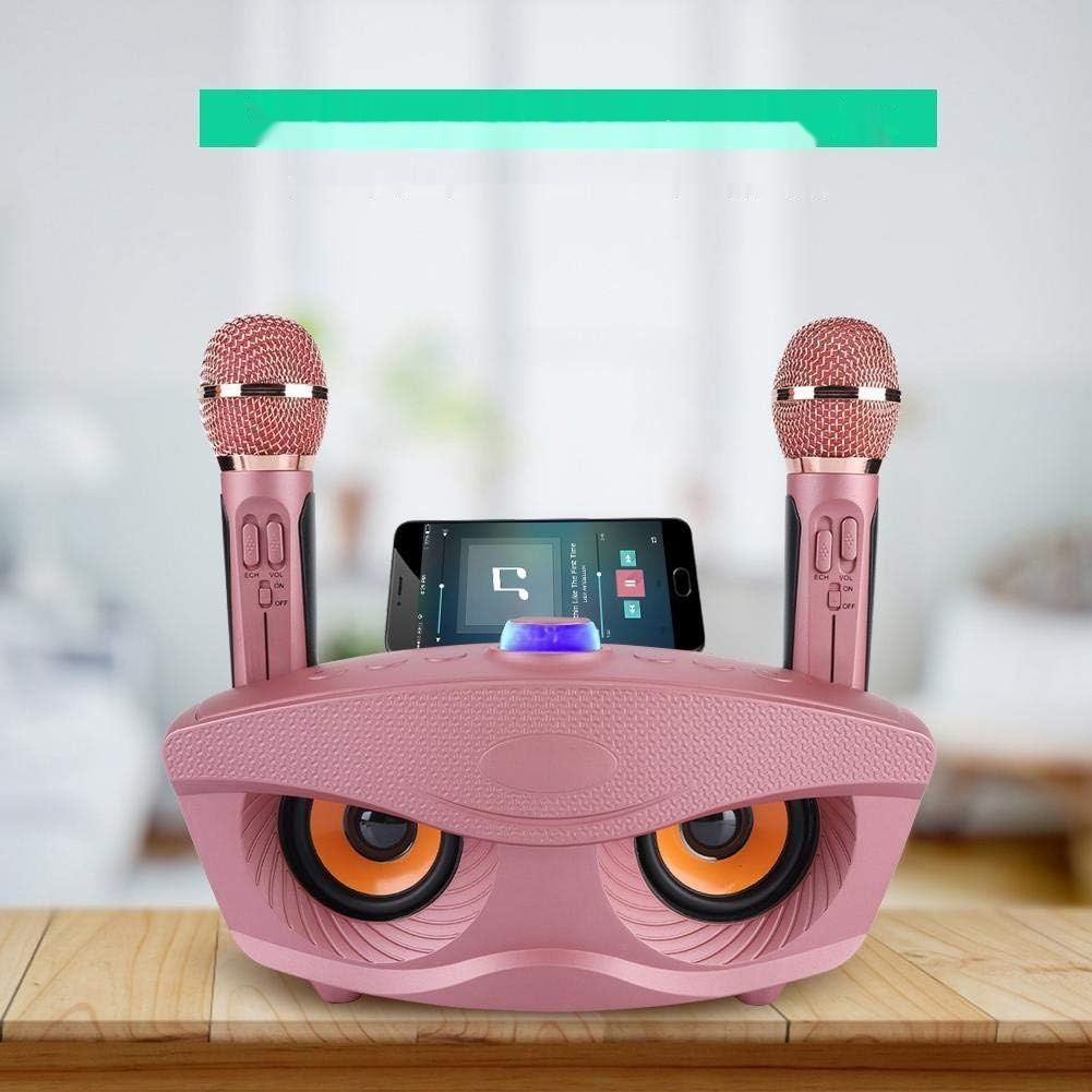 нуждается в проверке микрофонов!!!    Bewinner Przenośna maszyna do karaoke, bezprzewodowy głośnik Bluetooth