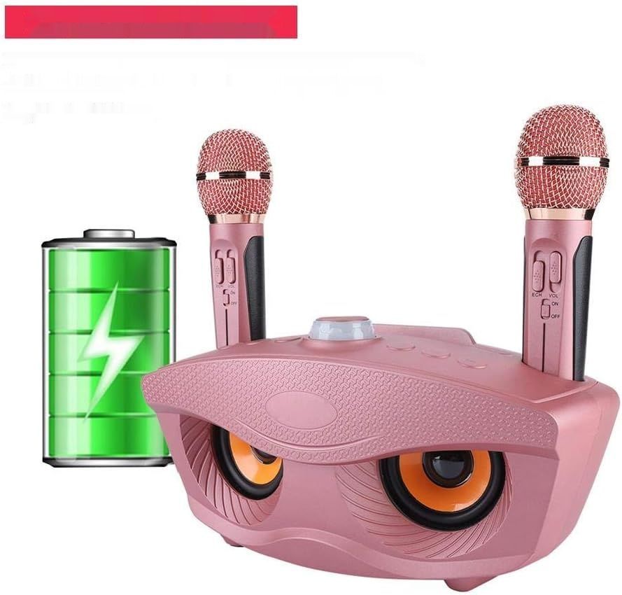 нуждается в проверке микрофонов!!!    Bewinner Przenośna maszyna do karaoke, bezprzewodowy głośnik Bluetooth