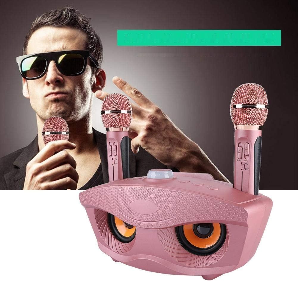 нуждается в проверке микрофонов!!!    Bewinner Przenośna maszyna do karaoke, bezprzewodowy głośnik Bluetooth