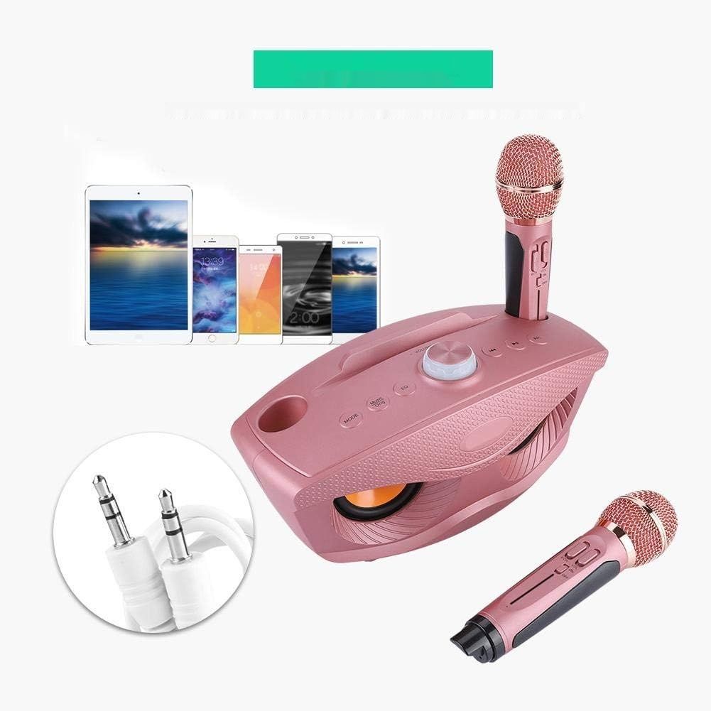 нуждается в проверке микрофонов!!!    Bewinner Przenośna maszyna do karaoke, bezprzewodowy głośnik Bluetooth