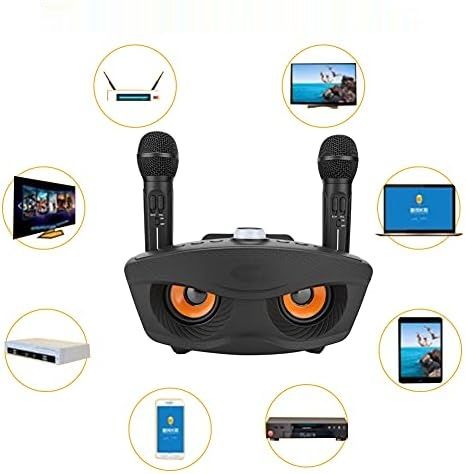 Bewinner Bezprzewodowy Głośnik Karaoke Bluetooth z Dwoma Mikrofonami – Czarny