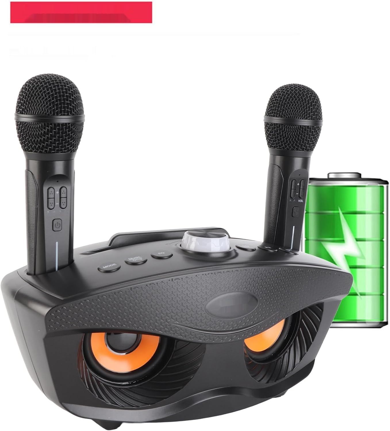 Bewinner Bezprzewodowy Głośnik Karaoke Bluetooth z Dwoma Mikrofonami – Czarny