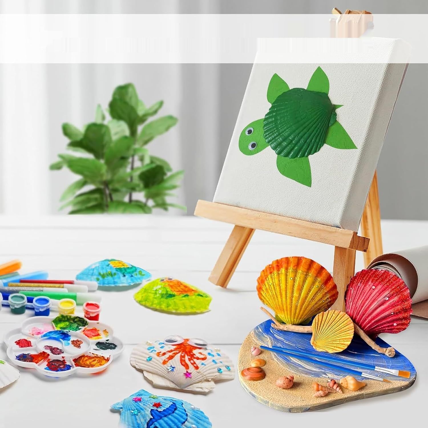 Coquilles Saint-Jacques 12 sztuk, naturalne duże muszle 10–12 cm, biał