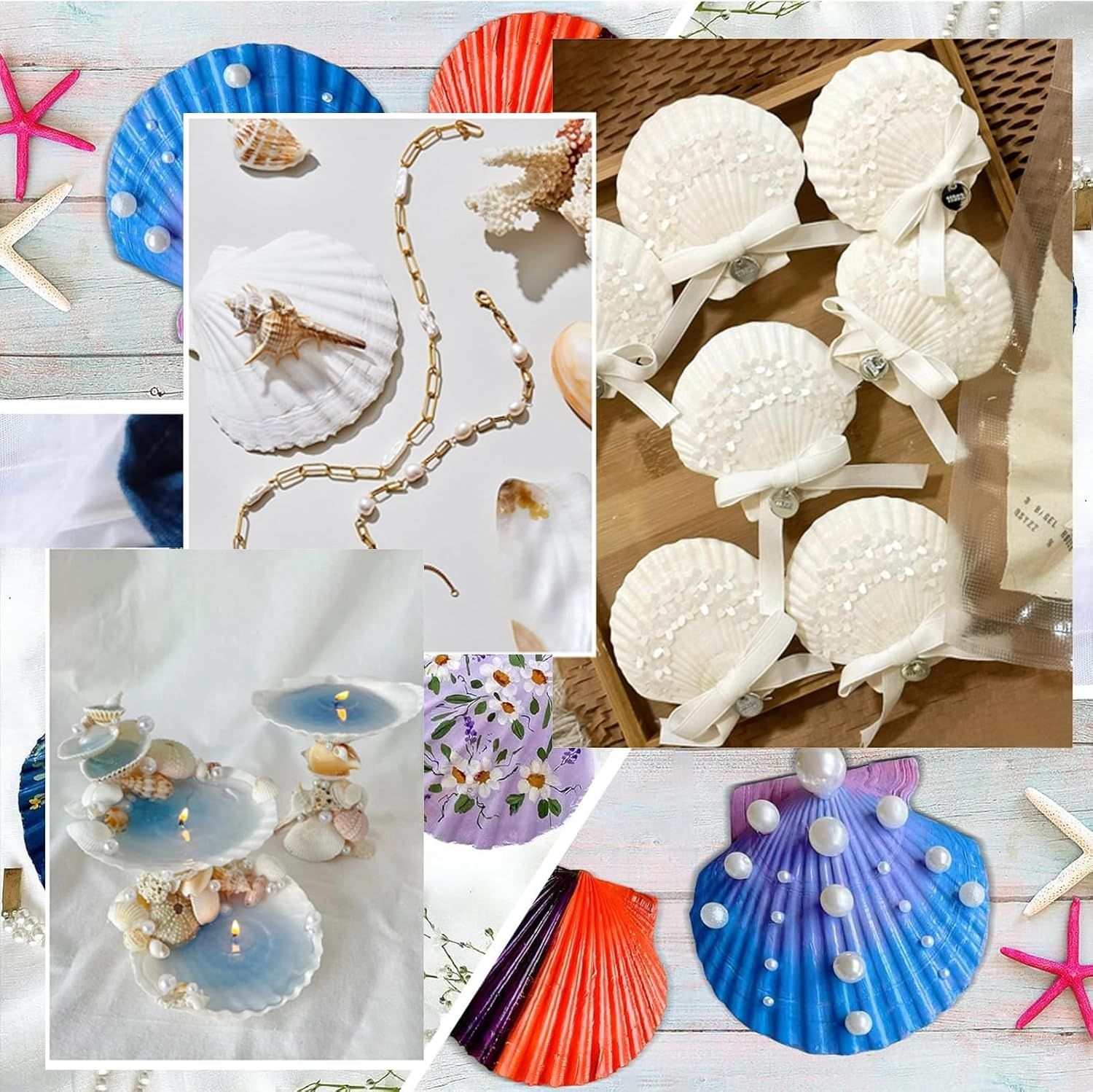 Coquilles Saint-Jacques 12 sztuk, naturalne duże muszle 10–12 cm, biał