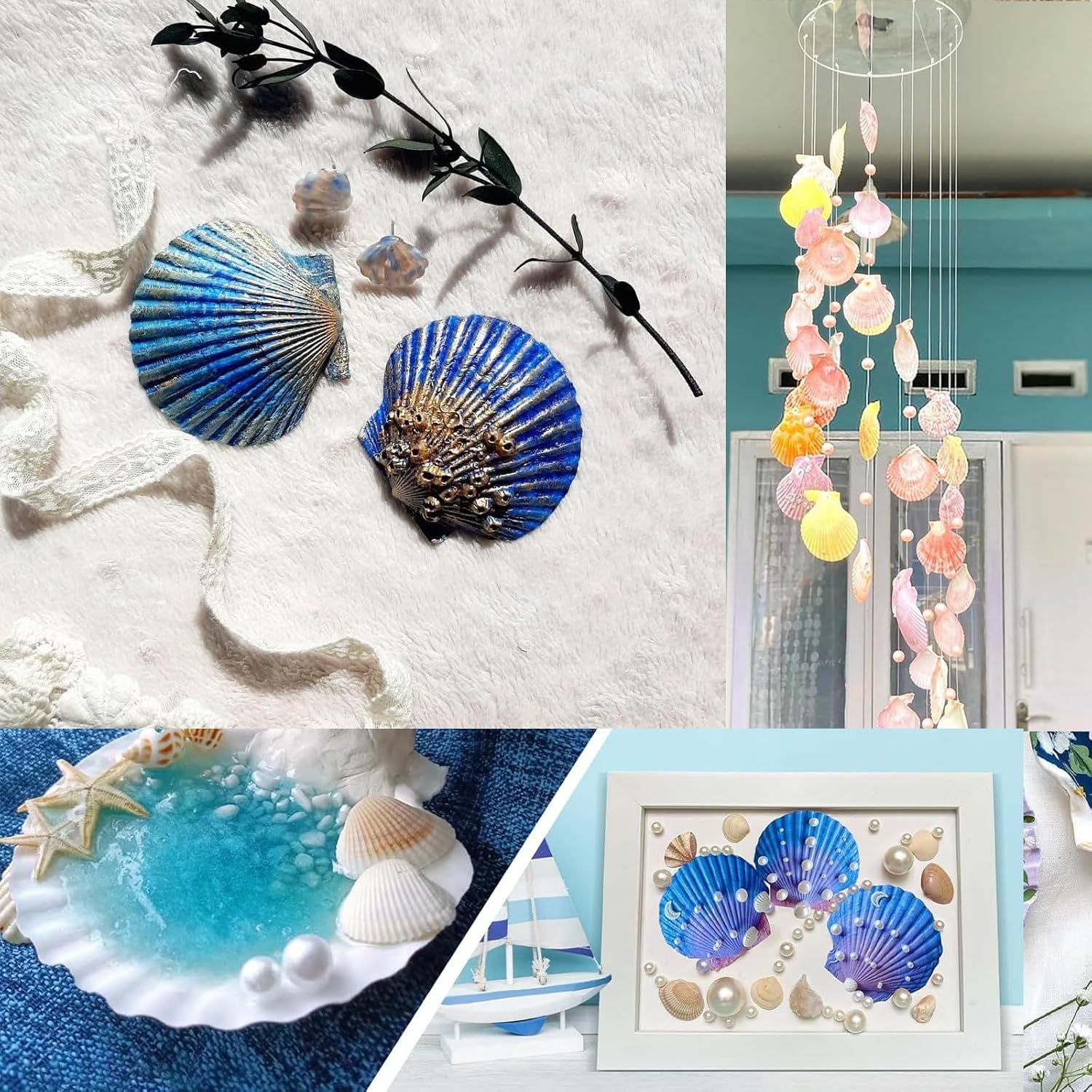 Coquilles Saint-Jacques 12 sztuk, naturalne duże muszle 10–12 cm, biał