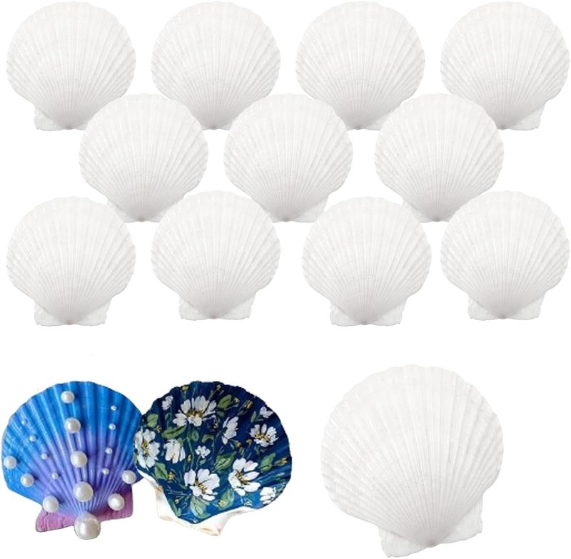 Coquilles Saint-Jacques 12 sztuk, naturalne duże muszle 10–12 cm, biał