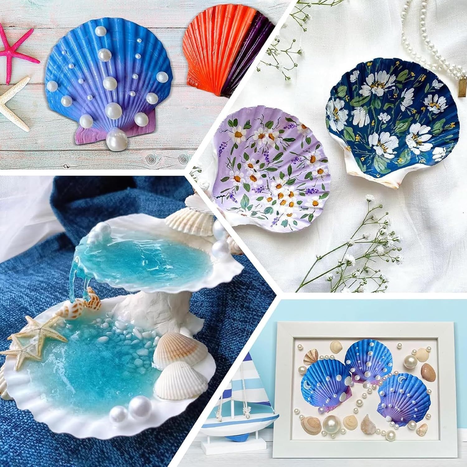 Coquilles Saint-Jacques 12 sztuk, naturalne duże muszle 10–12 cm, biał