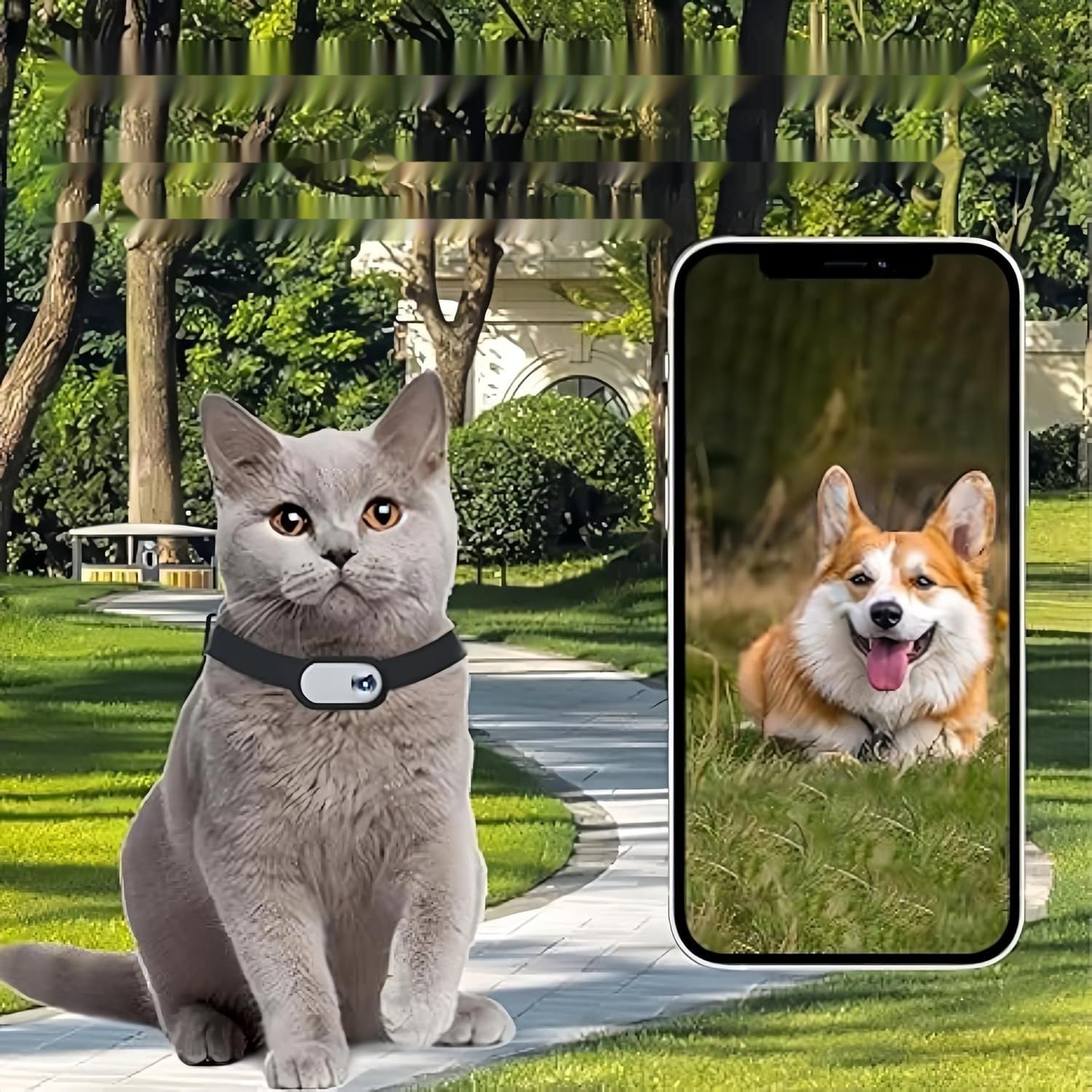 Naszyjnik z kamerą dla kota – kamera z szerokokątnym obiektywem 170°do
