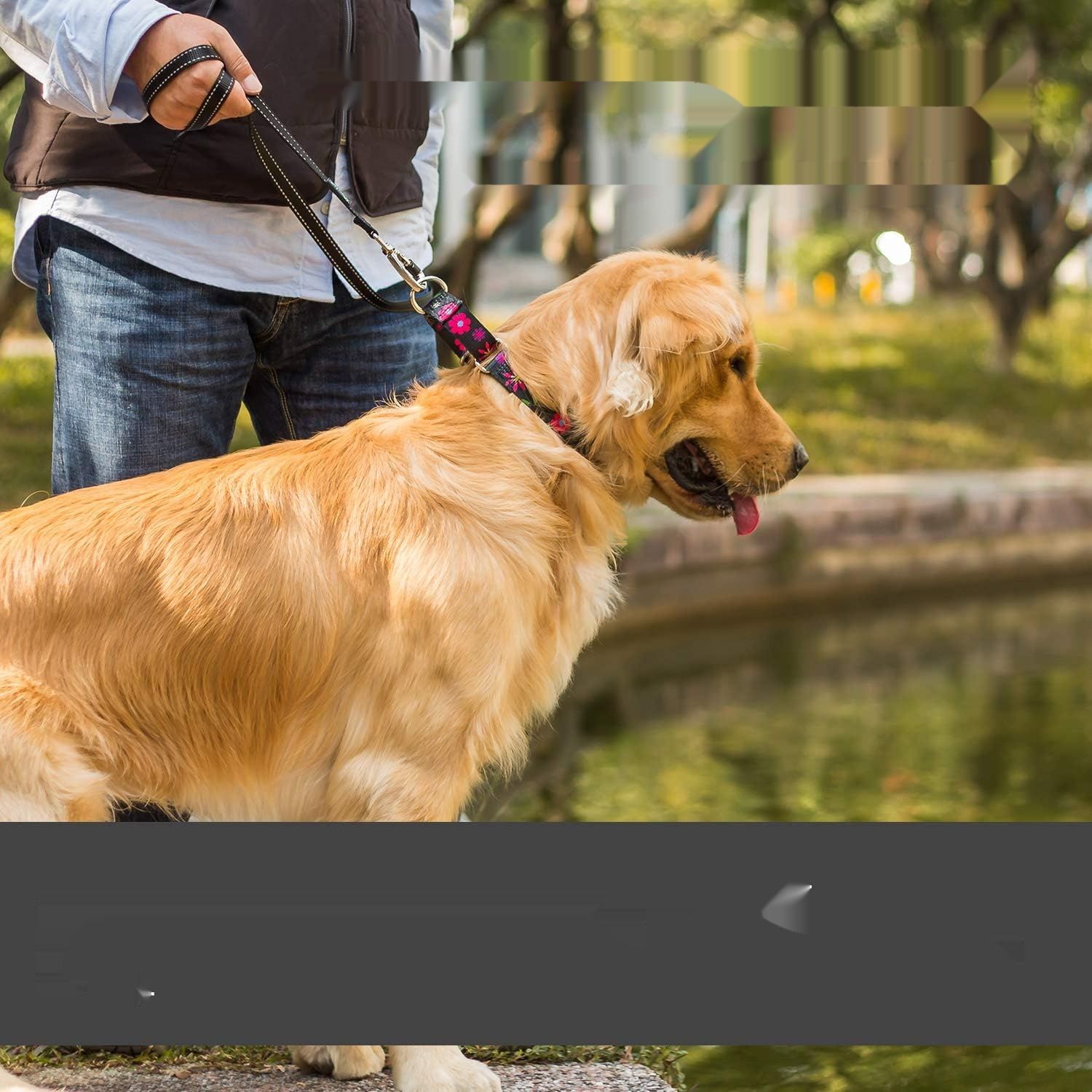 Zmienić foto na niebieski !!!!!    Półokrągła kraciasta obroża, błękitna, duża: 45–64 cm, obroża przeciwć