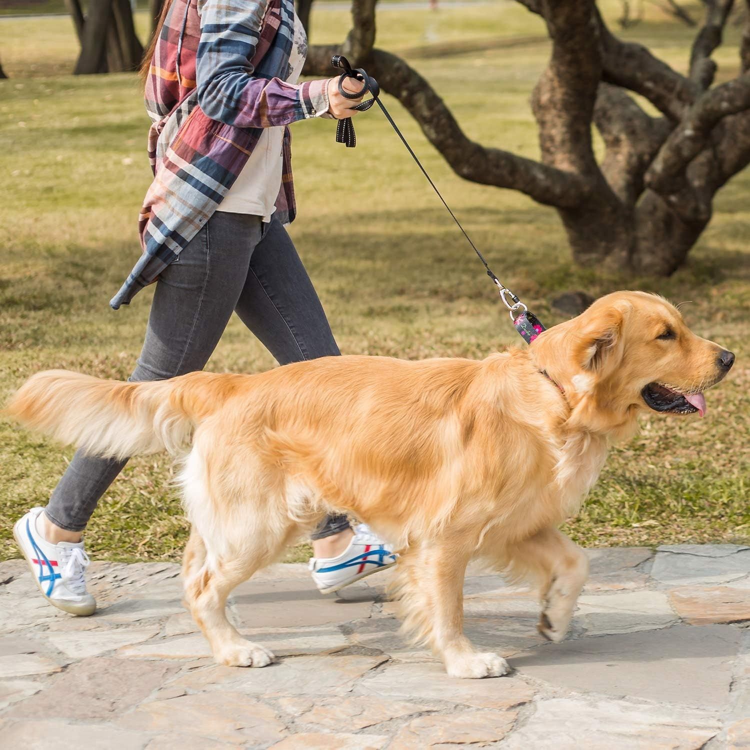 Zmienić foto na niebieski !!!!!    Półokrągła kraciasta obroża, błękitna, duża: 45–64 cm, obroża przeciwć
