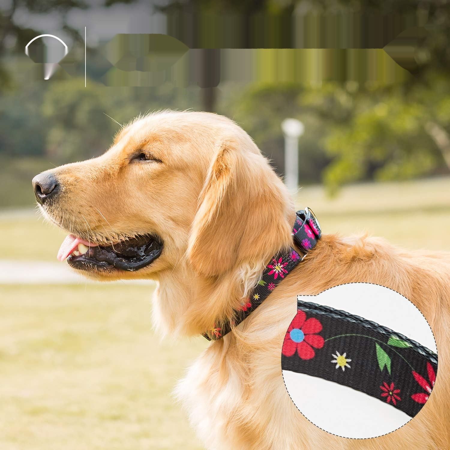 Zmienić foto na niebieski !!!!!    Półokrągła kraciasta obroża, błękitna, duża: 45–64 cm, obroża przeciwć