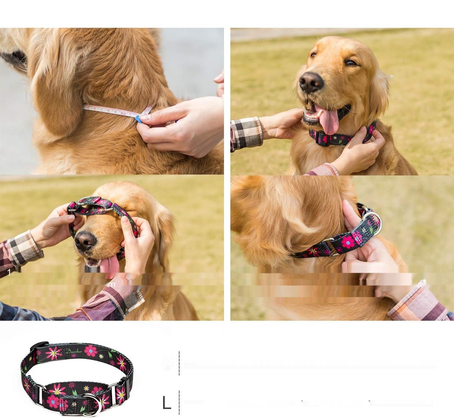 Zmienić foto na niebieski !!!!!    Półokrągła kraciasta obroża, błękitna, duża: 45–64 cm, obroża przeciwć