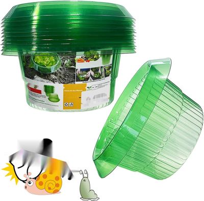 Ulepszony wzmocniony kołnierz przeciw ślimakom dla Twoich roślin sałty