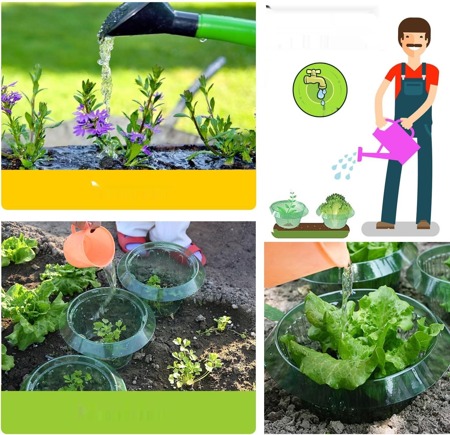 Ulepszony wzmocniony kołnierz przeciw ślimakom dla Twoich roślin sałty