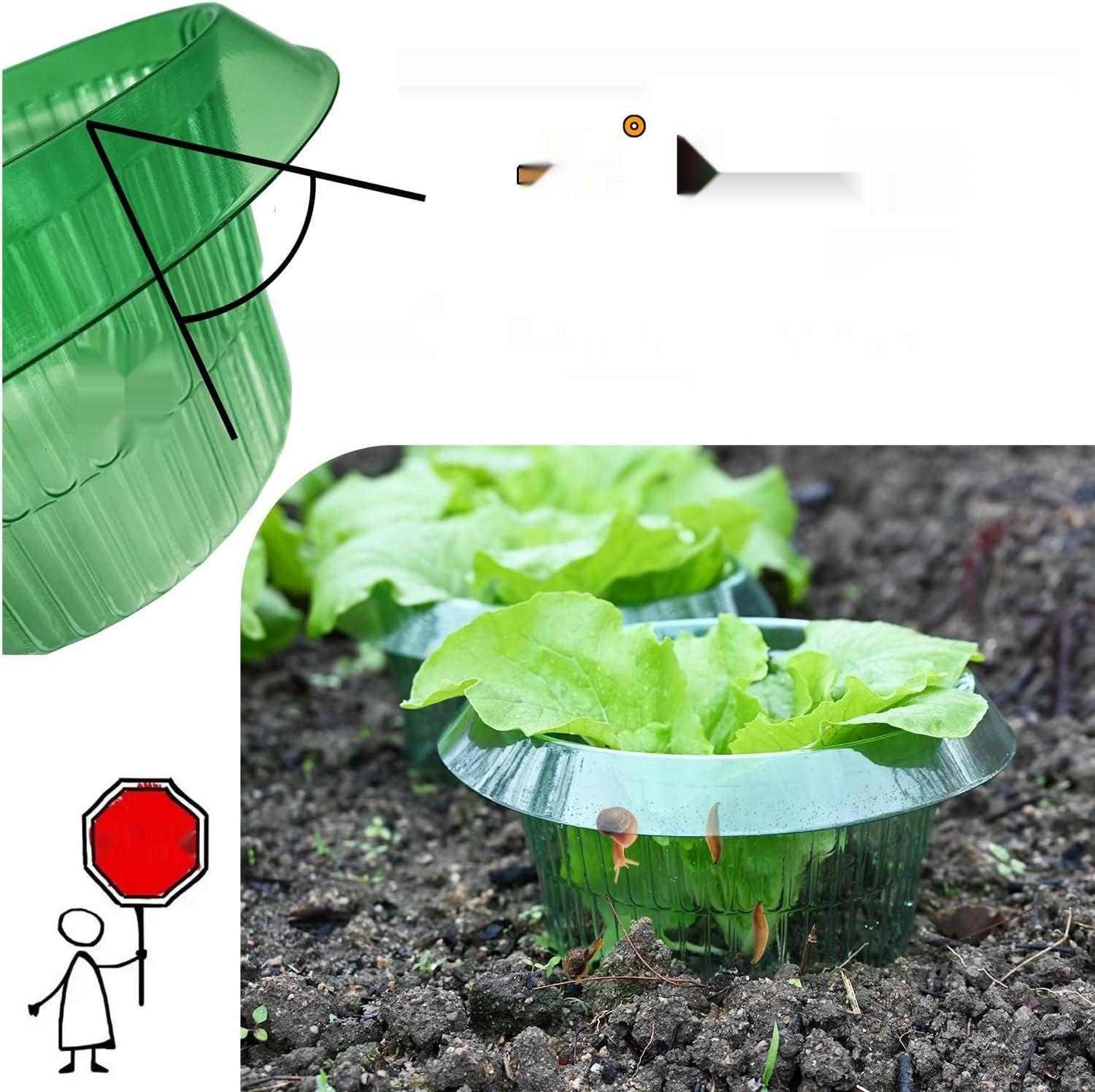 Ulepszony wzmocniony kołnierz przeciw ślimakom dla Twoich roślin sałty