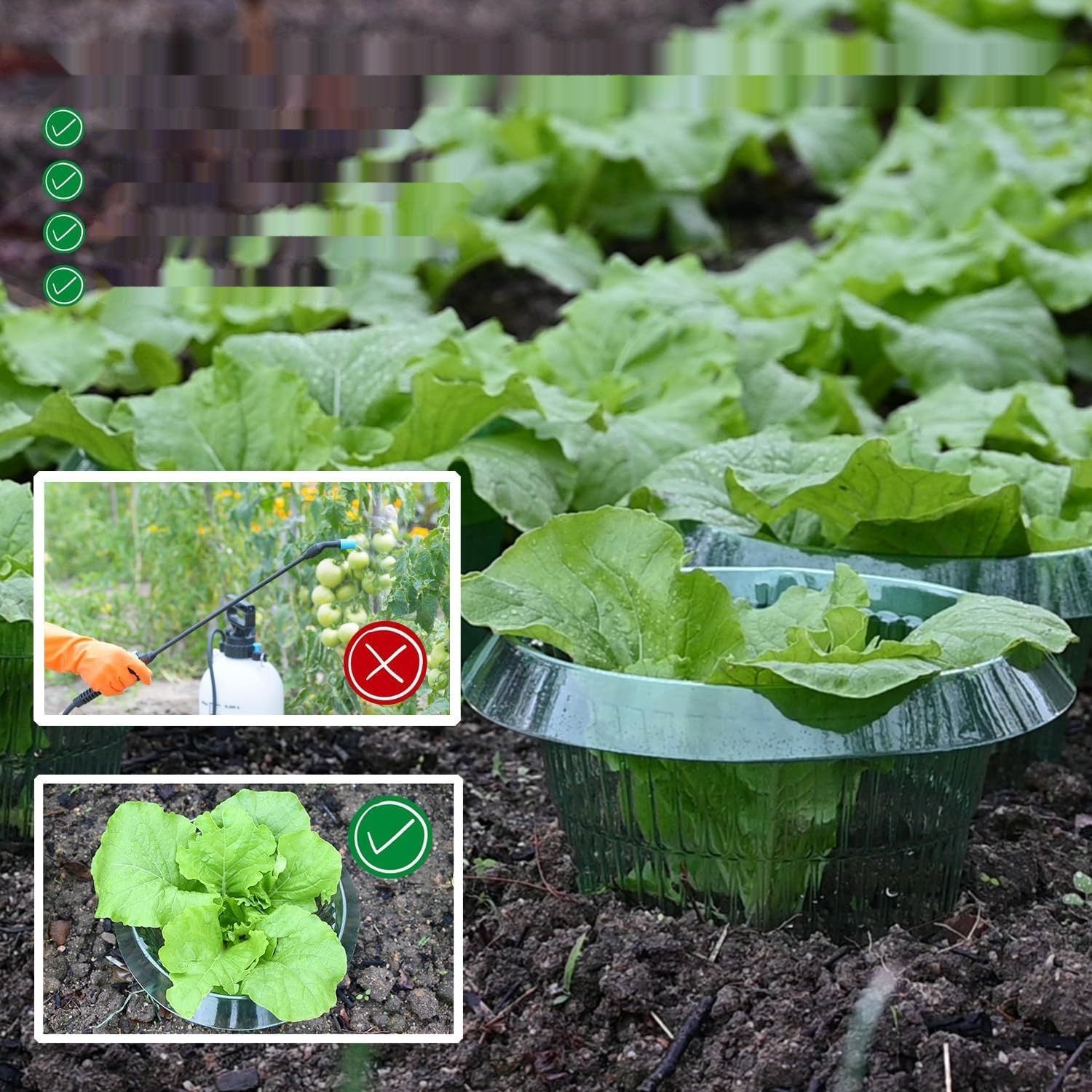 Ulepszony wzmocniony kołnierz przeciw ślimakom dla Twoich roślin sałty