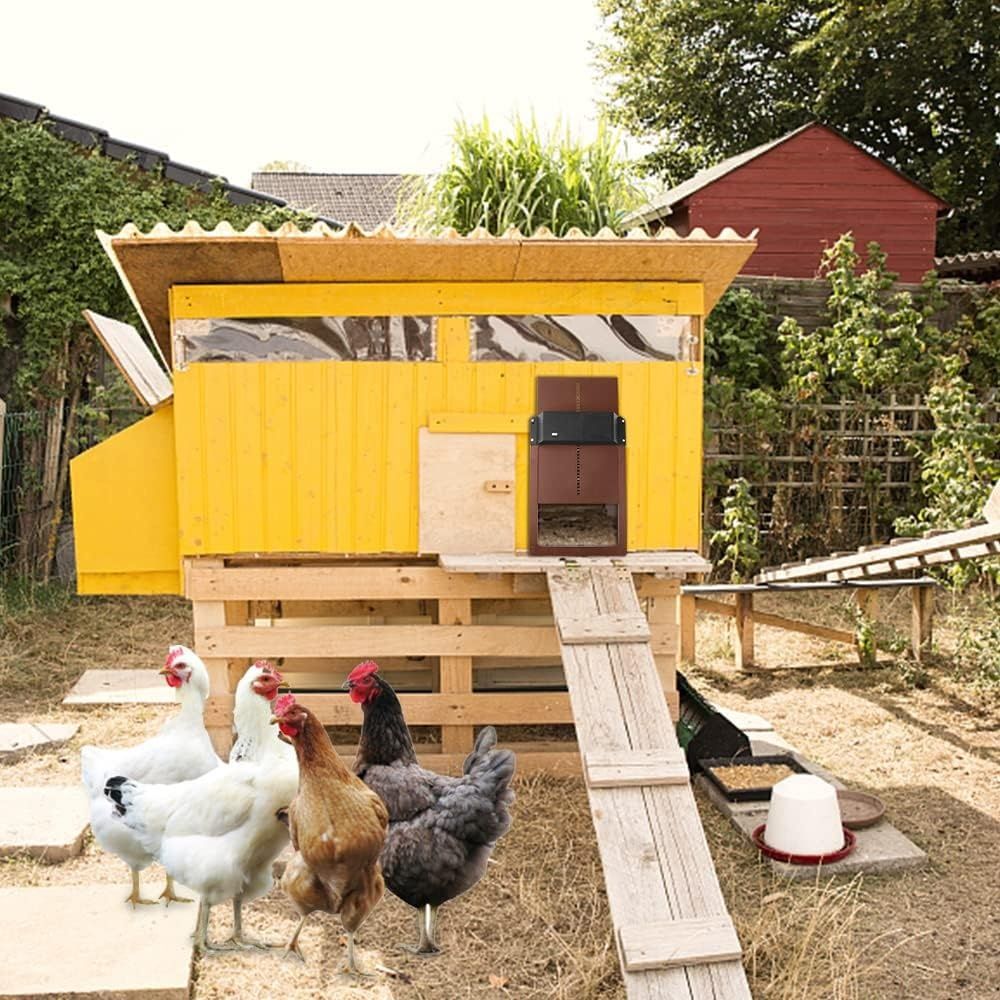 Automatyczna klapka dla kur z czujnikiem światła, automatyczne drzwi