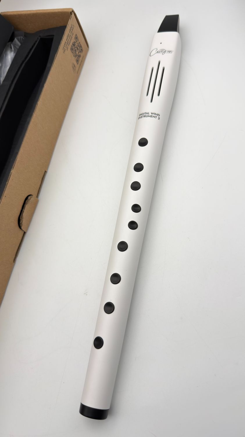 Przenośny cyfrowy instrument dęty, 2–10 głosów, wbudowany akumulator ł