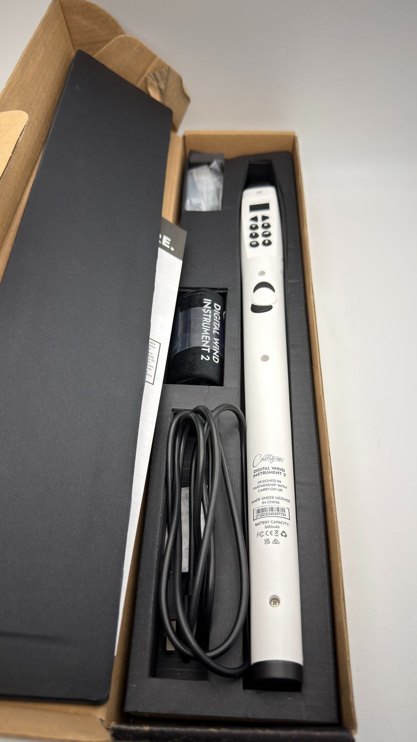 Przenośny cyfrowy instrument dęty, 2–10 głosów, wbudowany akumulator ł