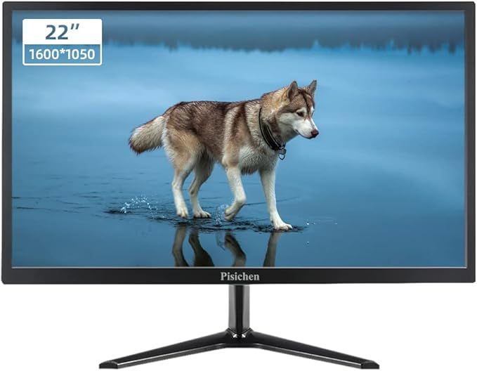 Monitor Pisichen 22" LCD 1600 × 1050, 75 Hz z głośnikami