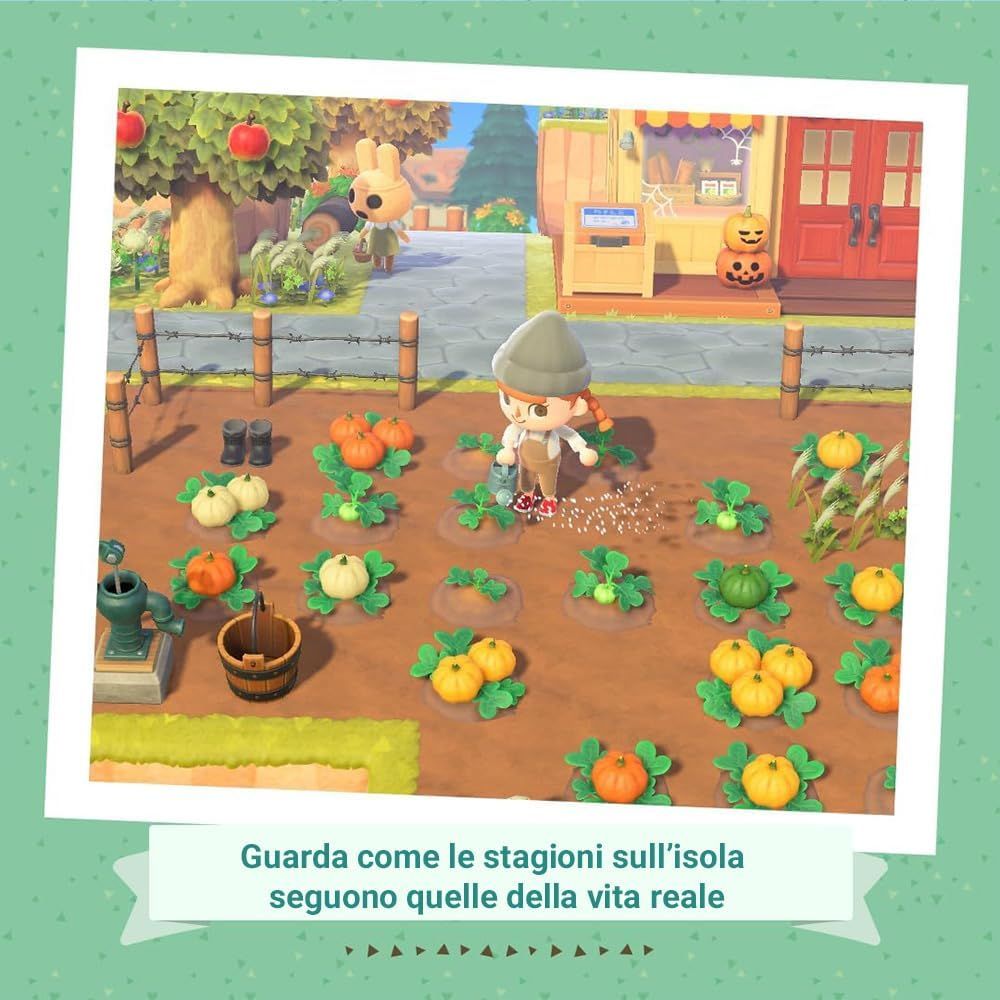 Animal Crossing: New Horizons – Gra wideo na Nintendo – Wydanie włosie